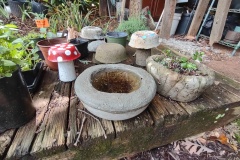 IMG_20230623_110751731