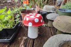 IMG_20230623_110754823