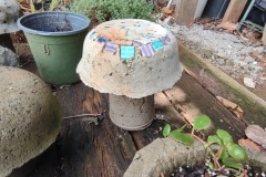 IMG_20230623_110802138