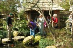 Japanese-Gardens-scaled