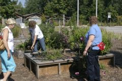 Student-Garden-31-600x399