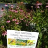 Pollinator-Sign