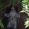 Godzilla