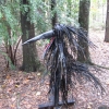 Scary Bird