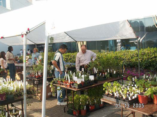 Gwinnett Master Gardener Plant Sale