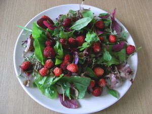 Salad
