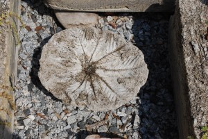 Hypertufa Birdbath