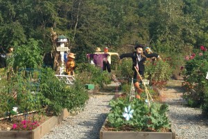 2015 GT Community Garden