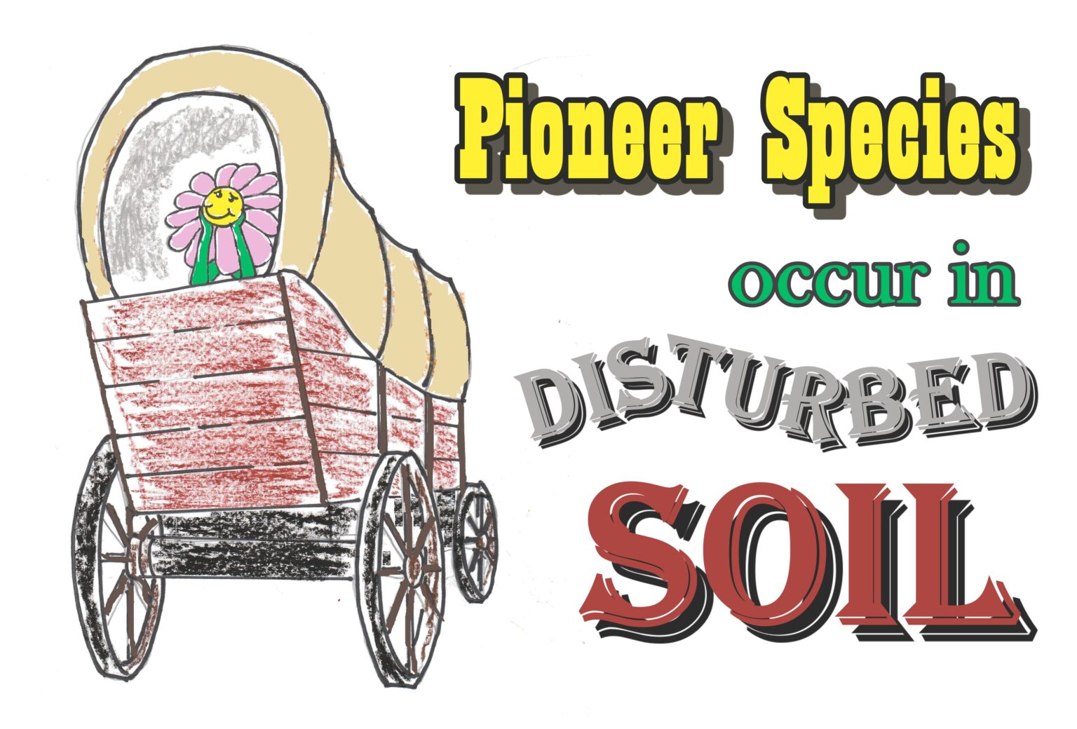 Pioneer Species Part 1 Wildflowers County Master